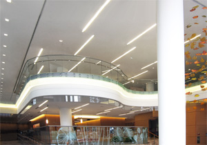 Dana-Farber Cancer Institute