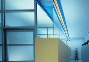 Hospital for Special Surgery
